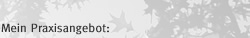 Mein Praxisangebot